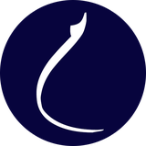 meisam.app.test1
