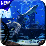 com.video.vtp.aquarium