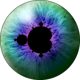 au.com.softology.visionsofchaos