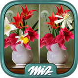 com.midva.games.free.findTheDifference.flowers
