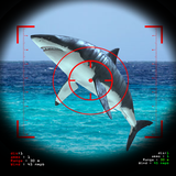 com.igame.HungrySharkEvolution