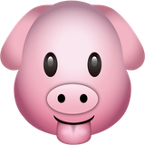 hungriPig.android.xdk