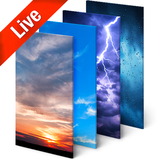 mobi.infolife.ezweather.livewallpaper.weather.video