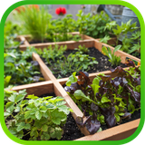 ir.tinasoft.gardening_flowers_vegetables