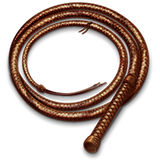 com.thewhip