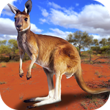 com.wildanimals.kangaroosimulator