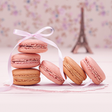 jp.co.a_tm.android.plus_macaroon_parisian