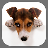 com.fun.cutedogs