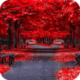 com.autumn.wallpaper.autumnbestwallpaper