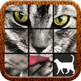 com.FatCat.CatPuzzle
