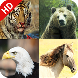 com.vivasol.animalsounds.animal_sound