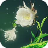 com.xw.art.flowerseries.epiphyllum
