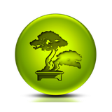 ir.appwork.livewallNaturaler