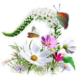 com.medicinalplants.app