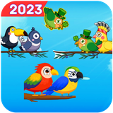 zsorting.birdsirtcolo.puzbird.sortsbirds