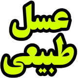 honey.mohsen.moazeni