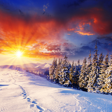 com.jelkesoft.livewallpaper.winterwonderland.free