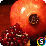 com.Sadroid.PayamakYalda