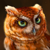 com.wildlife.owl