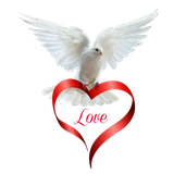 ir.monir.manoto