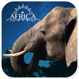 jp.eikomz.elephant