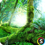 com.Sadroid.Wallpaper.Jungle