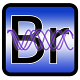 com.p_soft.biorhythms