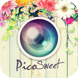 net.andg.picosweet