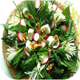 golestan.sabzi