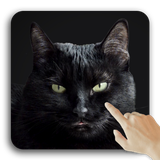 ru.bastion7.catwallpaper.free