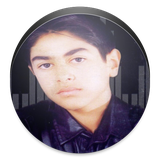 ir.alz.saberafshari