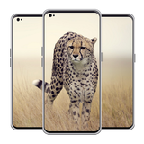 com.fernan.cheetahwallpaper