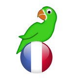 com.rfo.frenchdemo