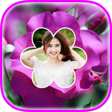 com.CheerUp.rose.flower.frame