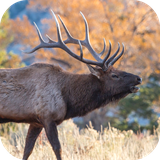 com.leafgreen.elk