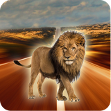 com.appmakerz.lionwallpapers