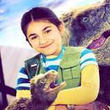 com.ir.dinodaina