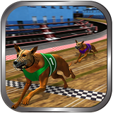 com.itpuppets.crazyrealdogracing