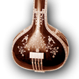 com.megahostzone.tanpura