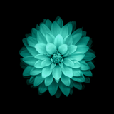 com.landscapelwp.flower