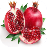 golestan.anar