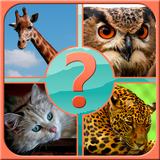 com.sbitsoft.guessanimal
