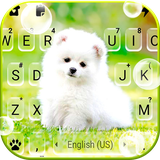com.ikeyboard.theme.cute.white.puppy