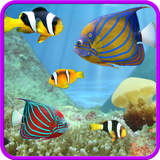 com.iimmobile.aquarium