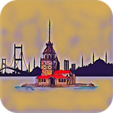 com.zsh.LearnTurkish