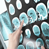 ir.brainct.book