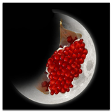 com.hamirt.yalda