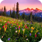 com.acs.mountainflowers.free