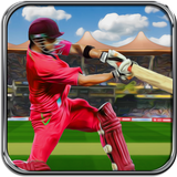com.mobi.games.crickett20