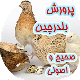 iran.kamranjan.amozeshbelderchin